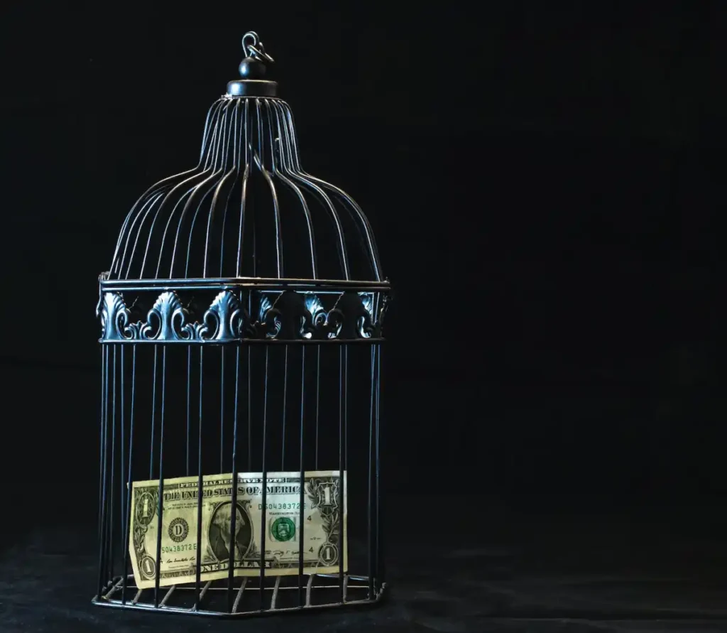 Money in Cage