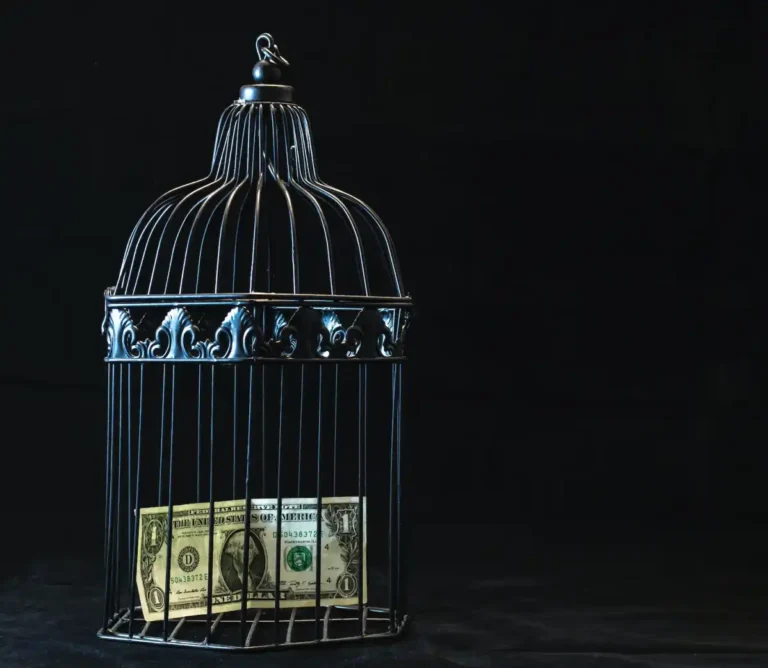 Money in Cage