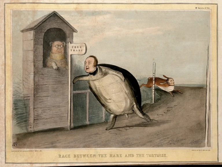 Tortoise Wins